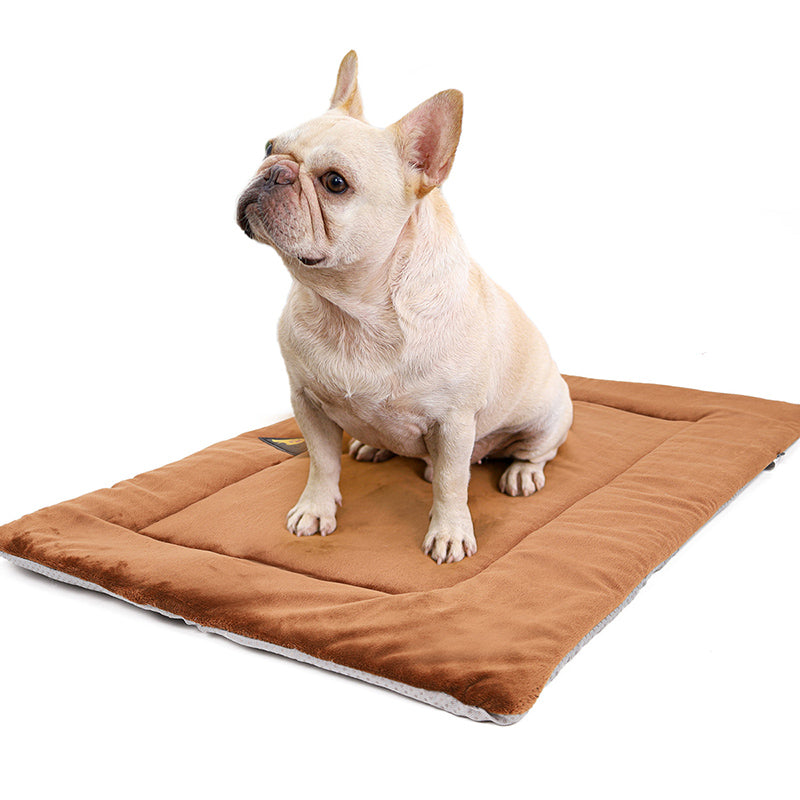 Dog sitting on the self-warming mat
