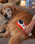 WarmWag light on senior dog hips